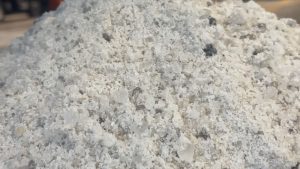 World Salt Awareness Week